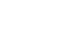 Austin International