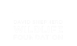 David Shepherd Wildlife Foundation